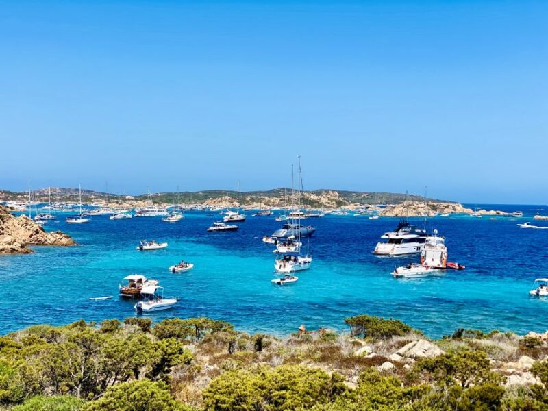 Maddalena Archipelago: Island-Hopping Sailing Tour and Lunch - Swimming and Snorkeling Spots