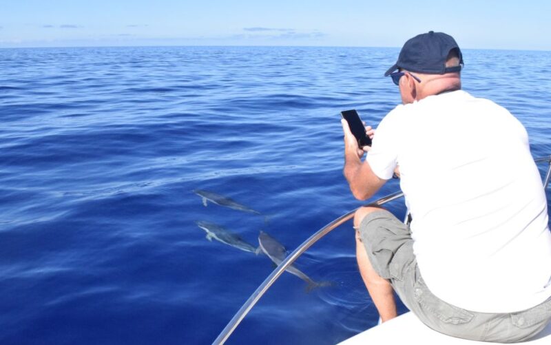 Madeira: 2.5-Hour Whale and Dolphin-Watching Cruise - Final Thoughts on the Madeira Whale and Dolphin Cruise