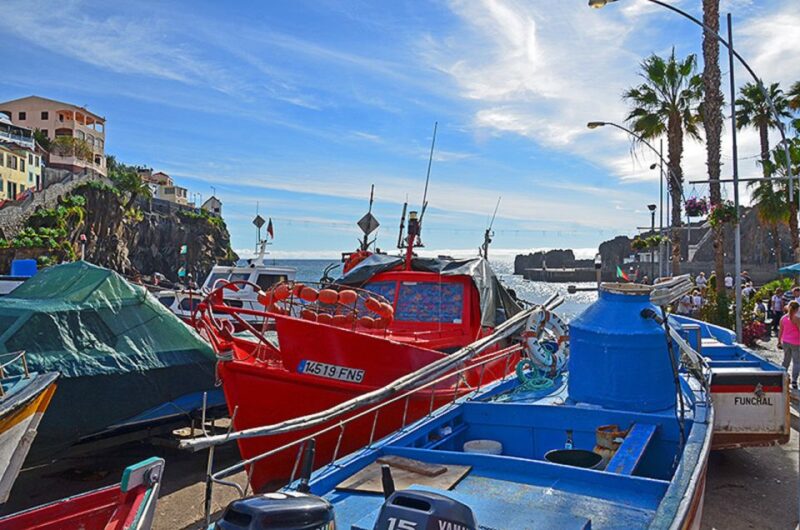Madeira 2 Full-Day & 1 Half-Day 4x4 jipe Special Tour Combo - Who Would Enjoy This Tour Most