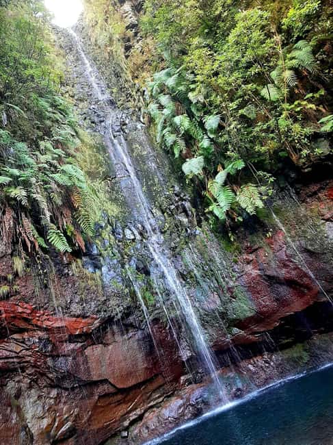 Madeira: 25 Fountains Rabaçal Forest Walk - Madeira: 25 Fountains Rabaçal Forest Walk — An In-Depth Tour Review