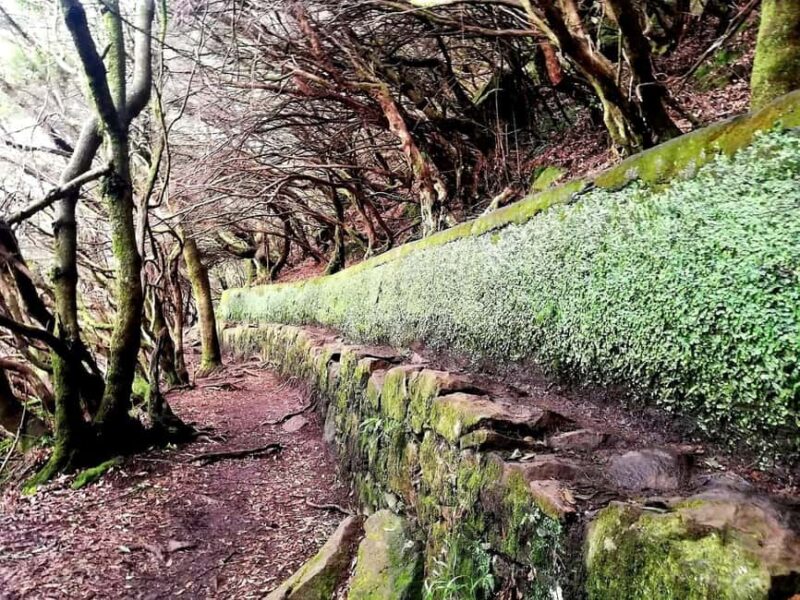 Madeira: 25 Fountains Rabaçal Forest Walk - Key Points