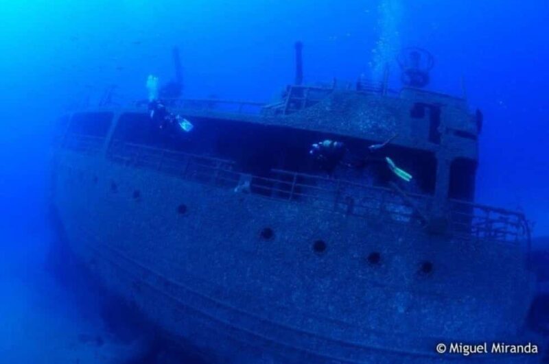 Madeira: 4-hour Scuba Dive from Porto Santo Island - How the Tour Runs: From Safety Briefing to the Dive Spots