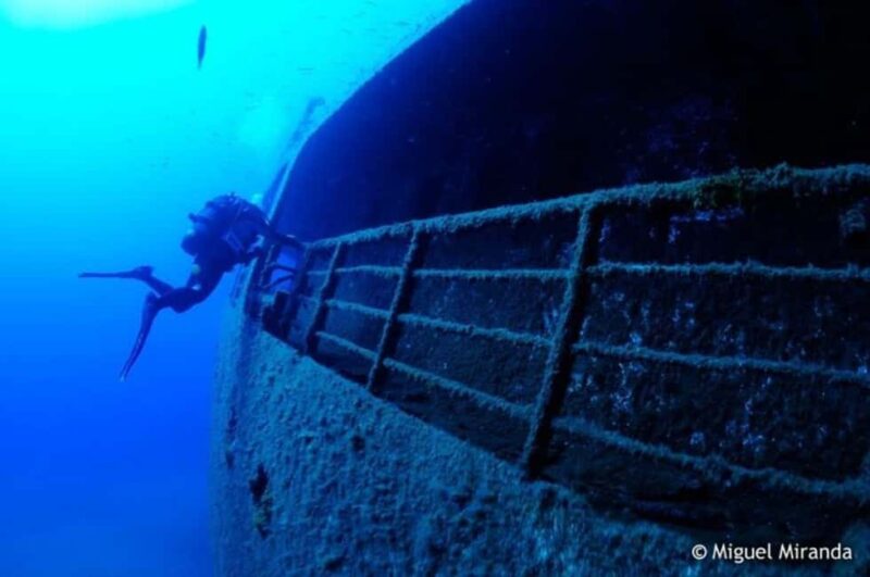 Madeira: 4-hour Scuba Dive from Porto Santo Island - Logistics: Meeting Point and Transportation Options