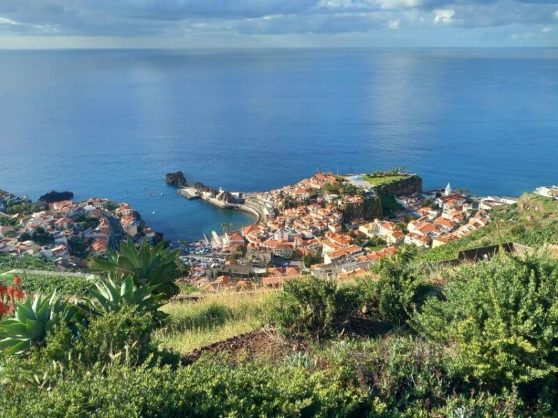 Madeira 4x4 Jeep Safari: Porto Moniz, Lava Pools & Fanal - Fanal Forest and Scenic Drives