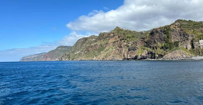 Madeira : 5 hour West Coast wooden Boat excursion - Visiting Fajã dos Padres: A Hidden Natural Retreat