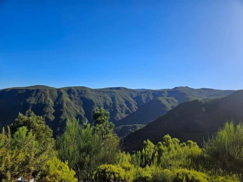 Madeira Adrenaline 4x4 Tour: Zipline, Giant Swing and Seixal - Climbing the Royal Path for Panoramic Views