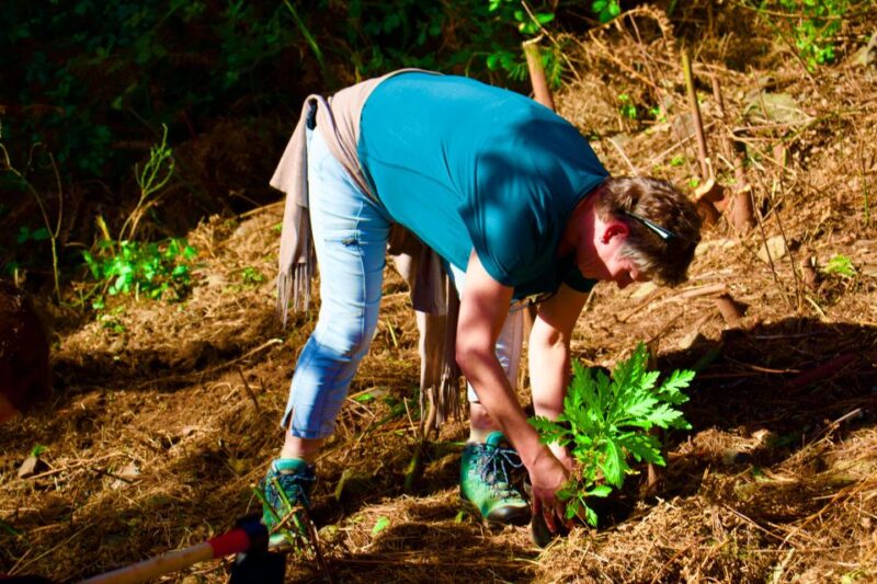 Madeira: Arieiro, Santana, Ponta de São Lourenço Jeep Tour - Practicalities and Tour Logistics