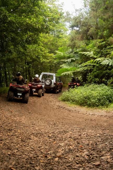 Madeira: Aventura Off-Road de ATV ou Quad - Adrenalina - Who Will Love This Madeira Quad Tour?