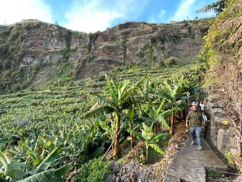 Madeira: Banana Plantation Guided Tour with Tasting - Pricing, Cancellation, and Booking Flexibility