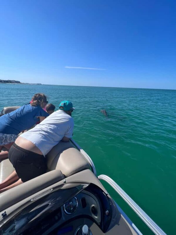 Madeira Beach: 1.5 Hour Dolphin Excursion - Who Will Most Enjoy This Dolphin Tour?