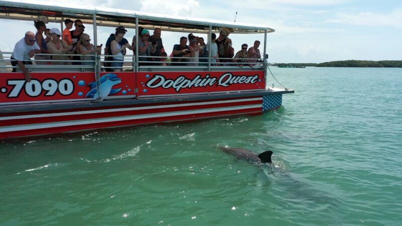 Madeira Beach: Guided Dolphin Watching Eco-Friendly Cruise - Eco-Friendly Approach and Vessel Features