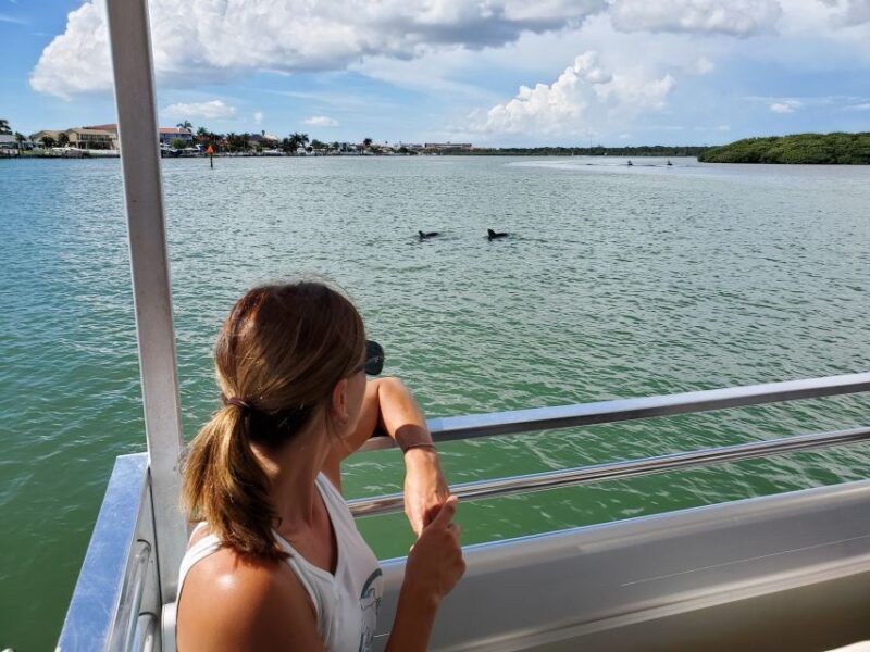 Madeira Beach: Guided Dolphin Watching Eco-Friendly Cruise - Comparing Similar Tours in Madeira Beach