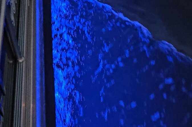 Madeira Beach Sunset Cruise Family Fun on Clean Boat - Key Points