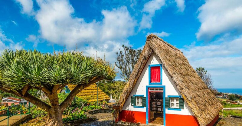 Madeira: Best of the East Tour from Funchal - Key Points