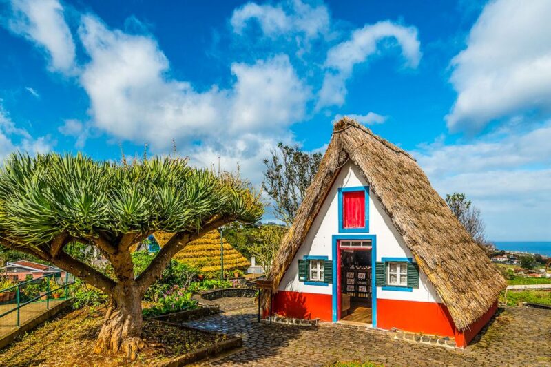 Madeira: Best of the East Tour from Funchal - Starting from Funchal for a Scenic Mountain Ascent