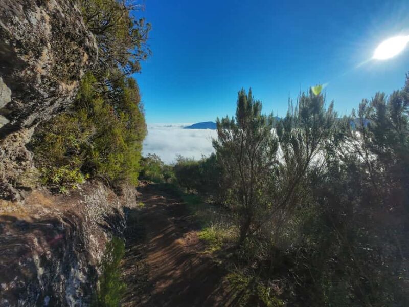 Madeira: Bica da Cana to Encumeada Guided Hike with Pickup - Starting Point at Bica da Cana Viewpoint