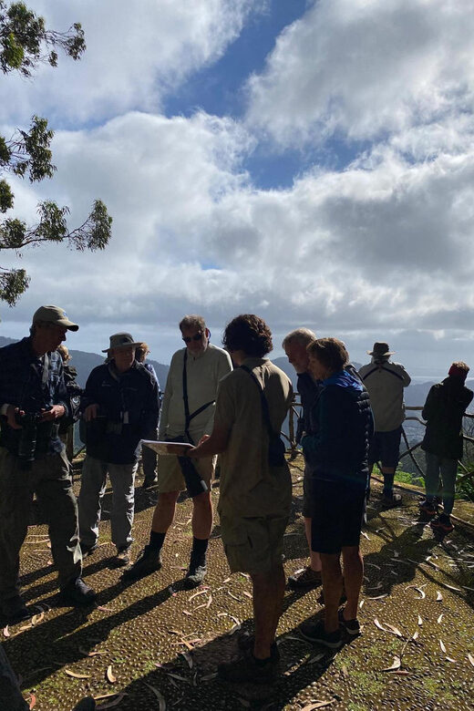 Madeira: Birdwatching - The Endemics - How the Itinerary Unfolds