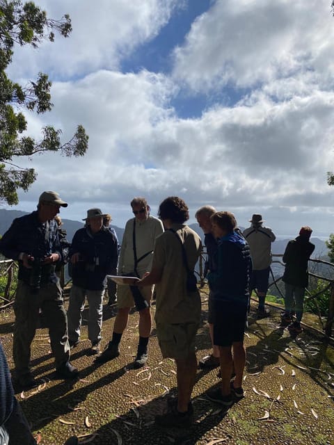 Madeira: Birdwatching - The Endemics - Final Thoughts on the Madeira Birdwatching Tour