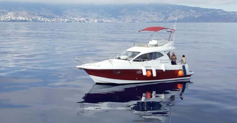 Madeira: Boat trip - Key Points