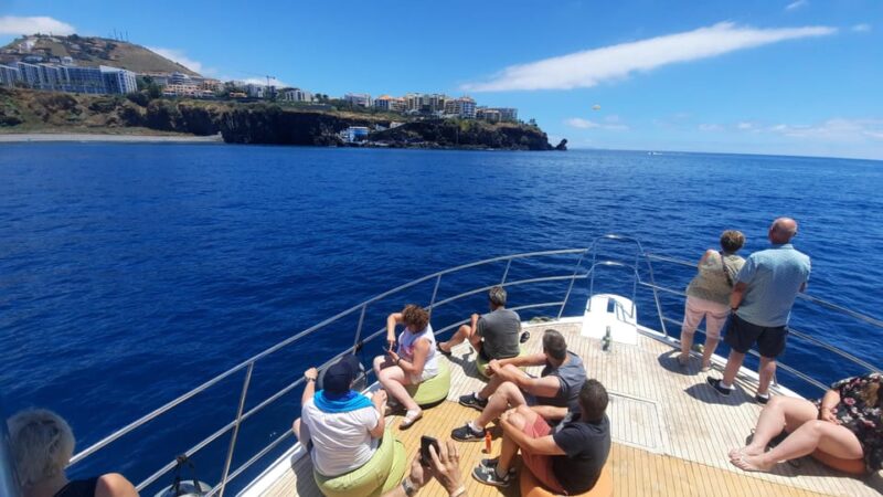 Madeira: Boat Trip with Lunch, Drinks, and Hotel Transfer - Summary: Who Will Enjoy This Madeira Boat Experience?