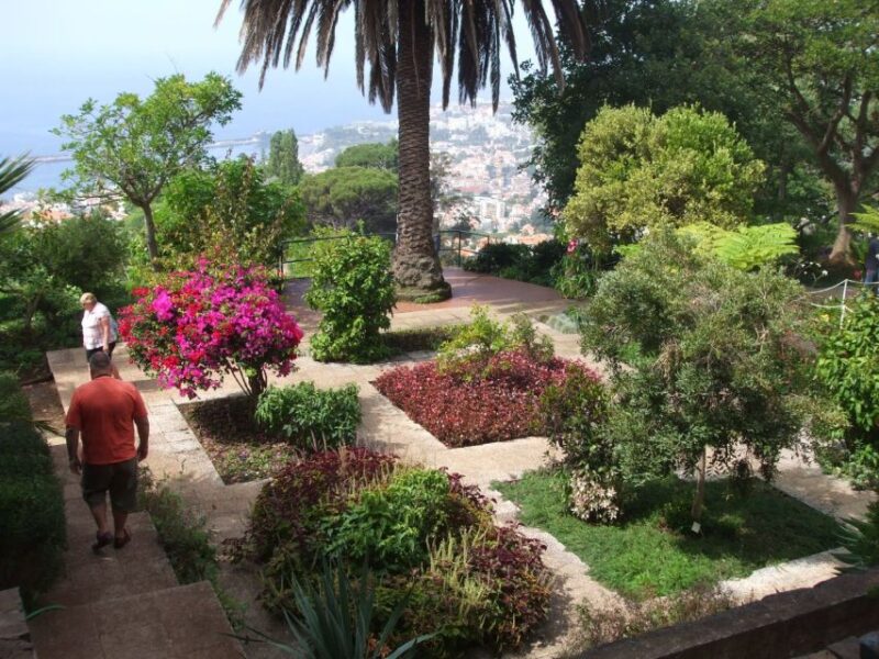Madeira: Botanical Garden in a Tuk-Tuk Tour - Key Points