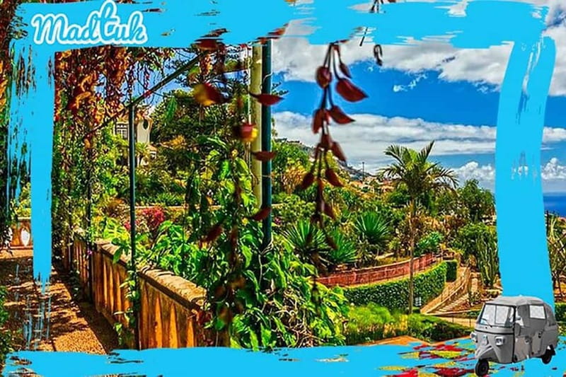 Madeira: Botanical Gardens + Old Town Tuk-Tuk Tour by MadTuk - Scenic Drive to Madeira Botanical Garden