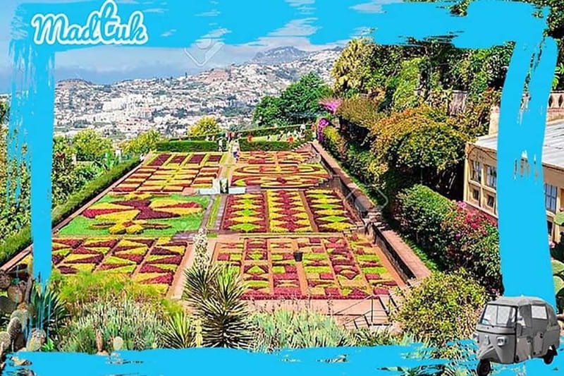 Madeira: Botanical Gardens + Old Town Tuk-Tuk Tour by MadTuk - Safety, Comfort, and Local Expertise