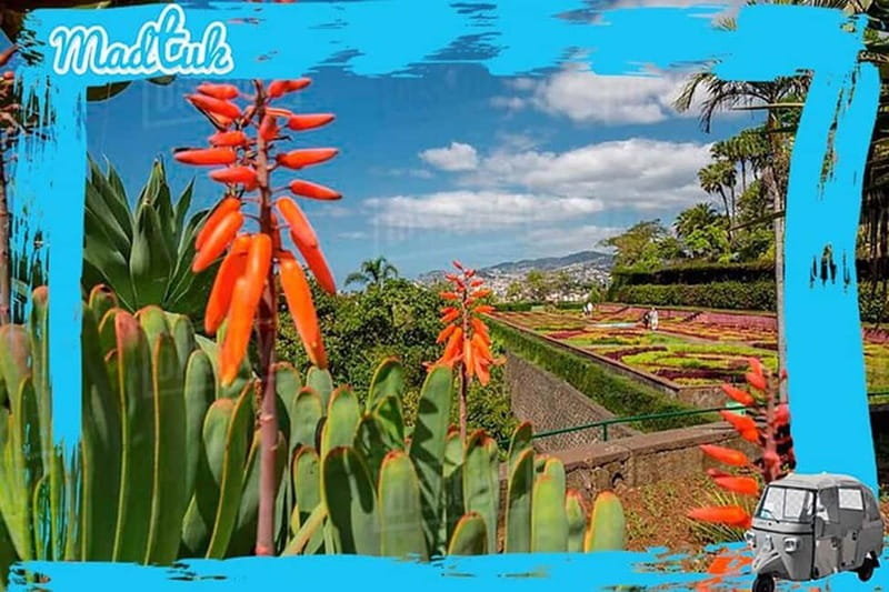 Madeira: Botanical Gardens + Old Town Tuk-Tuk Tour by MadTuk - What Sets This Tour Apart from Others in Madeira