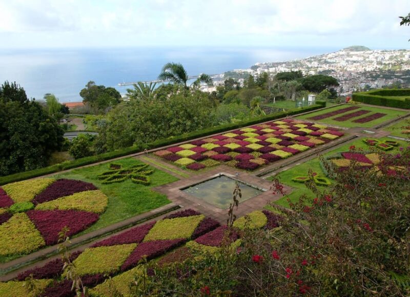 Madeira: Botanical, Monte Palace, and Palheiro Gardens - Exploring Monte Palace Tropical Garden and Its Unique Features