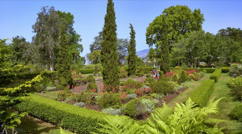 Madeira: Botanical, Monte Palace, and Palheiro Gardens - The Tuk-Tuk Experience and Logistics