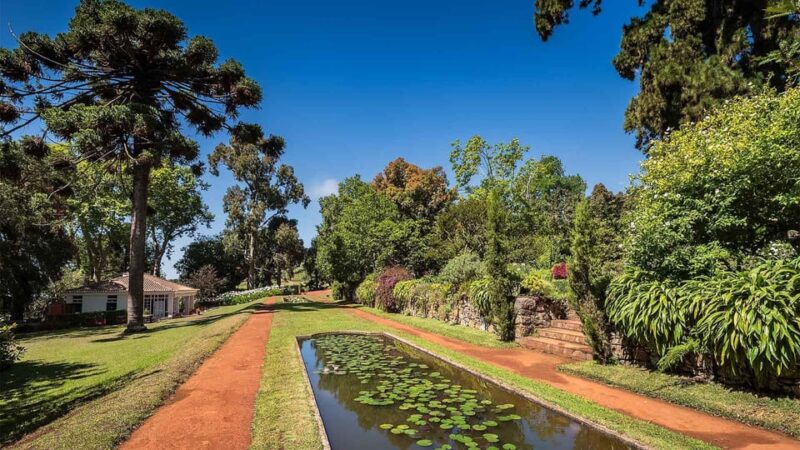Madeira: Botanical, Monte Palace, and Palheiro Gardens - Practical Tips for Enjoying the Gardens Tour