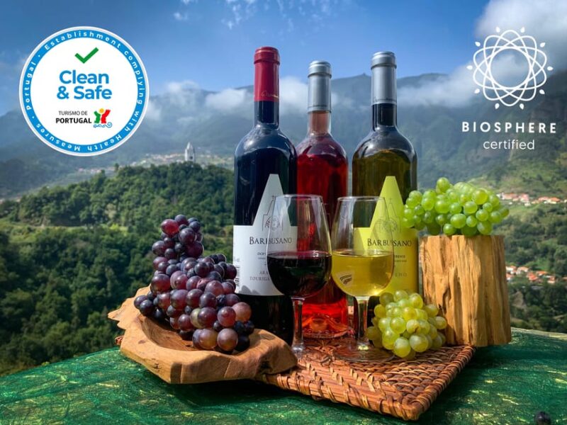 Madeira: Cabo Girão, Wine Tasting, & Serra d'Água Jeep Tour - The Sum Up: Ideal for Adventure and Wine Enthusiasts