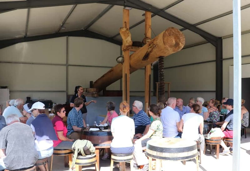 Madeira: Cabo Girão, Wines Experience and Dolphins Watching - Wine Tasting at Quinta do Barbusano