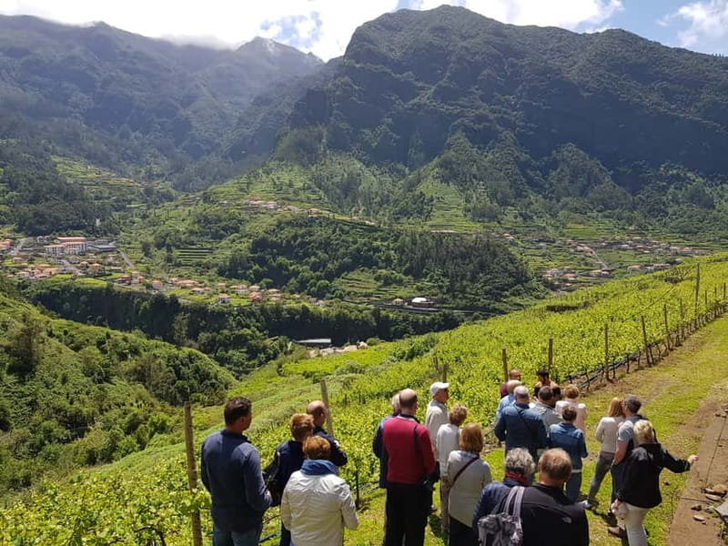 Madeira: Cabo Girão, Wines Experience and Dolphins Watching - Practicalities: Transportation, Safety, and Inclusions