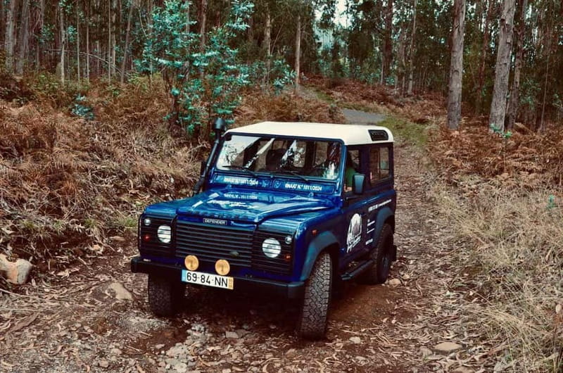 Madeira: Câmara de Lobos and Cabo Girão:Unforgettable adventure 4*4:duration3,5h - Visiting the Estreito de Câmara de Lobos Market