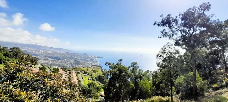 Madeira: Câmara de Lobos and Cabo Girão:Unforgettable adventure 4*4:duration3,5h - The Experience Provider: SpringPersistence, Lda