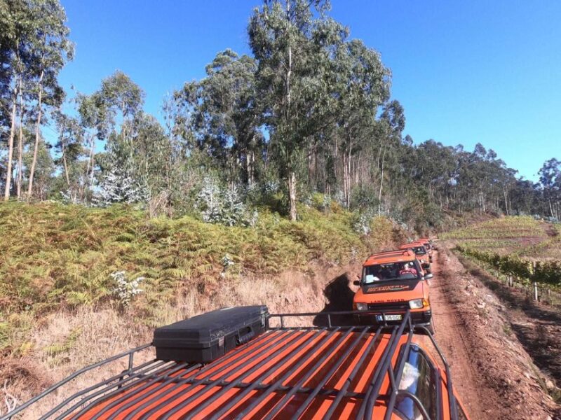 Madeira: Câmara de Lobos & Cabo Girão Half-Day Jeep Tour - Key Points