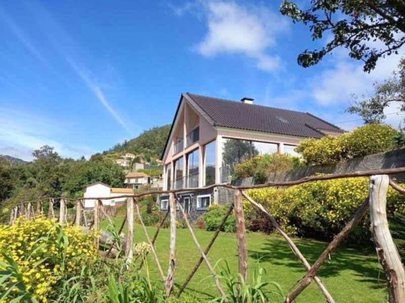 Madeira Cheese Tasting & Tea Tour - Who Will This Tour Appeal To?