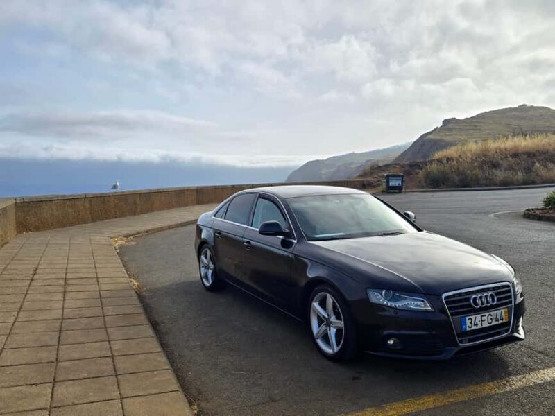 Madeira: Comfortable private tour with views and local guide (up to 4 people) - Comfort and Capacity: Who Can Join?