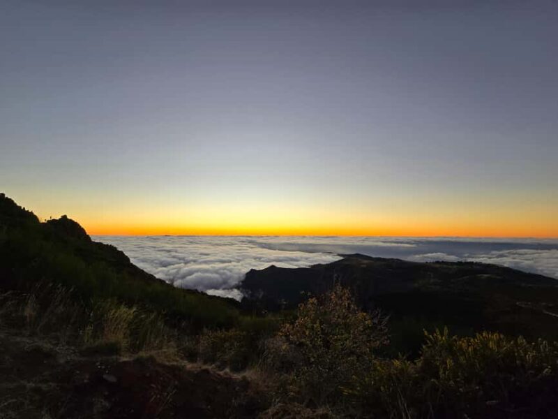 Madeira: Comfortable private tour with views and local guide (up to 4 people) - Who Will Love This Madeira Private Tour?