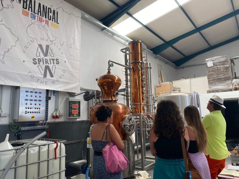 Madeira: Distilleries - Key Points
