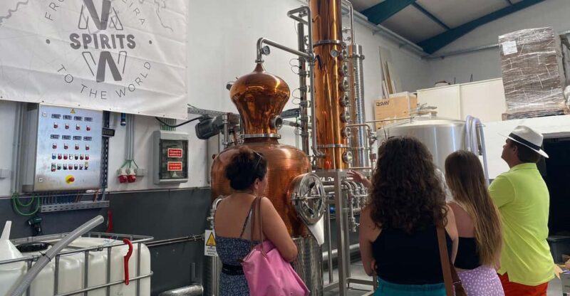 Madeira: Distilleries - Exploring the Traditional Distillery and Museum