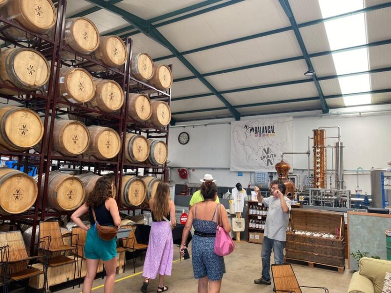 Madeira: Distilleries - Logistics and Group Experience