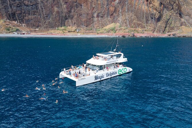 Madeira Dolphin and Whale Watching on a Ecological Catamaran - Experience Madeiras Marine Wonders on a Eco-Friendly Catamaran