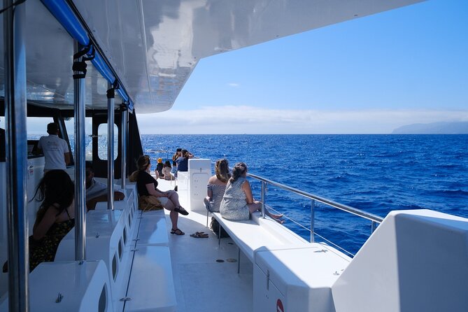 Madeira Dolphin and Whale Watching on a Ecological Catamaran - Booking and Cancellation Policies