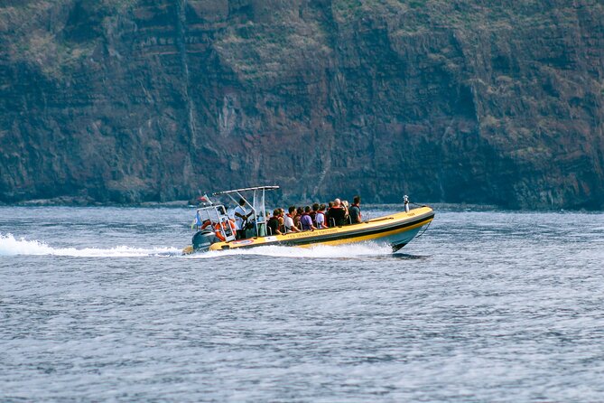 Madeira Dolphin & Whale Watching Tour - Who Will Enjoy This Tour Most?