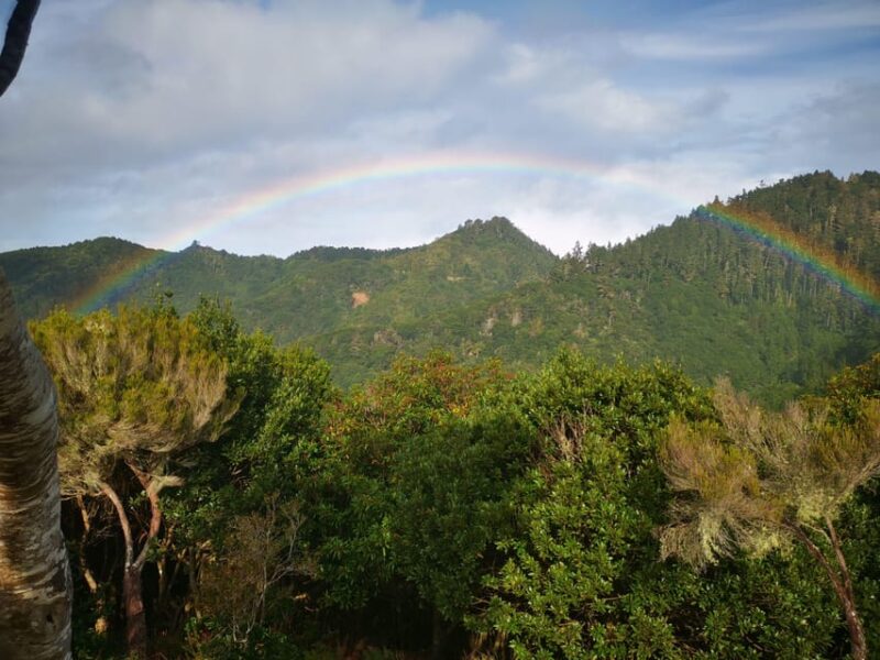 Madeira E-Buggy Adventure: 4x4 thrill & epic views! Book now - Practical Details and Logistics