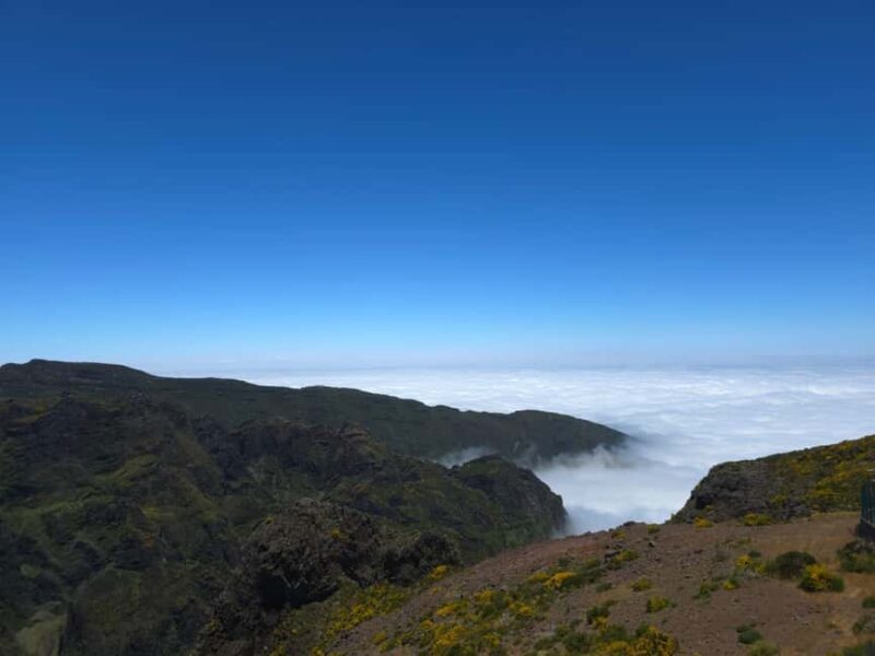 Madeira: East Island Tour with Rum Tasting - Exploring Ribeiro Frio Natural Park