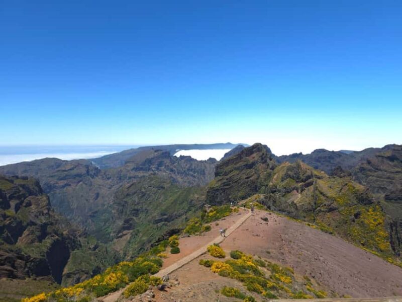 Madeira: East Island Tour with Rum Tasting - Practical Details: How the Tour Runs