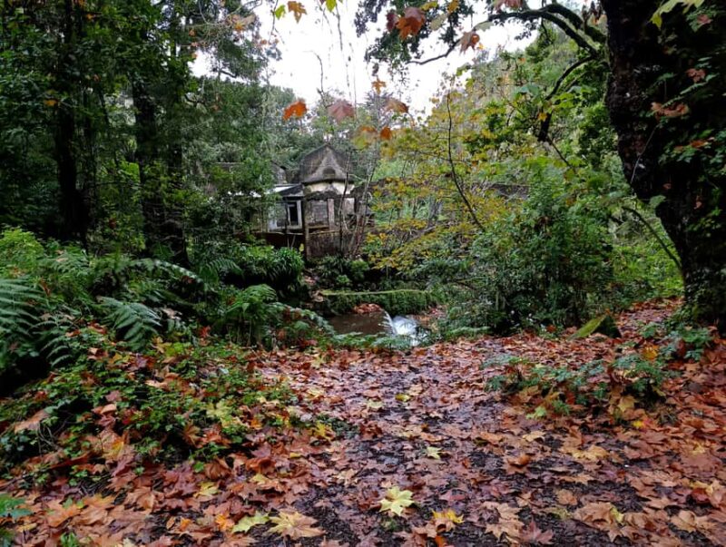 Madeira: East Side Tour - Exploring Ribeiro Frio and the Levada Walk